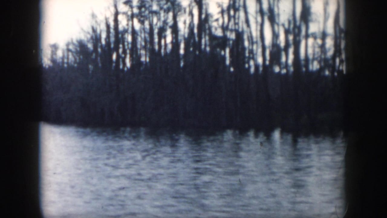 1958 New Orleans-area 8mm footage looking from a boat toward calm water and a dense treeline.