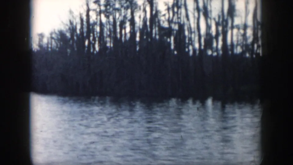 1958 New Orleans-area 8mm footage looking from a boat toward calm water and a dense treeline.