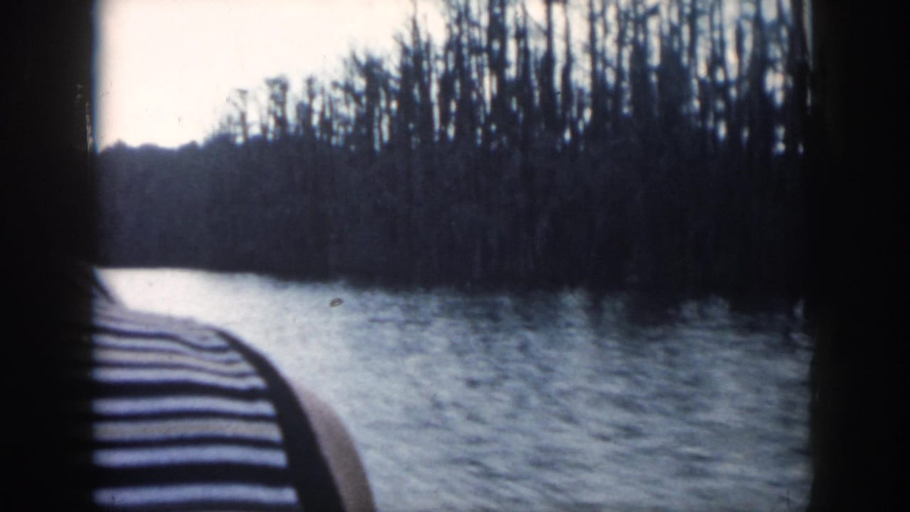 Boat edge or rail curves beside water with a wooded bank ahead.
