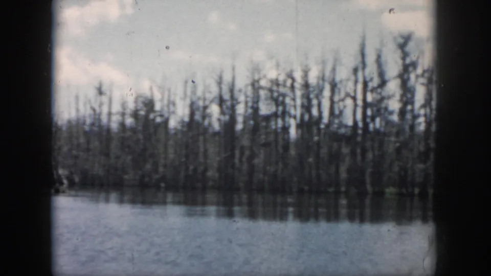 1958 New Orleans 8mm frame with a dense stand of leafless trees along calm water under a pale, overcast sky.