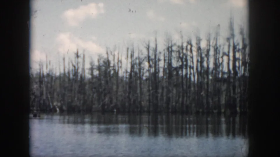 1958 New Orleans-area 8mm frame showing leafless cypress trees rising from calm swamp water beneath a muted cloudy sky.