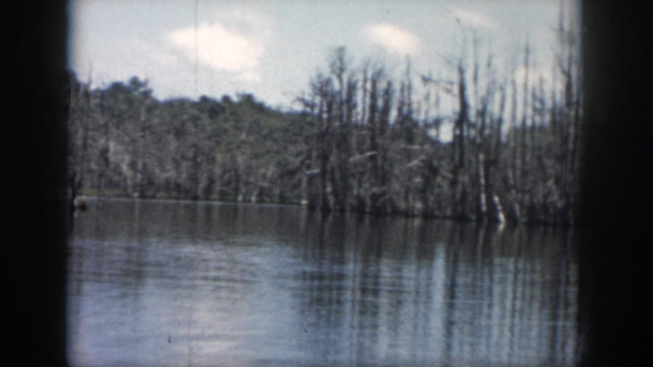 1958 New Orleans-area swamp tour footage shows still water, leafless swamp trees, distant wooded ground, and pale clouds within a rounded 8mm frame.