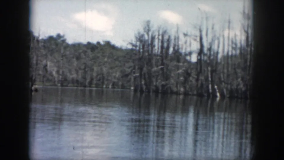 1958 New Orleans-area swamp tour footage shows still water, leafless swamp trees, distant wooded ground, and pale clouds within a rounded 8mm frame.