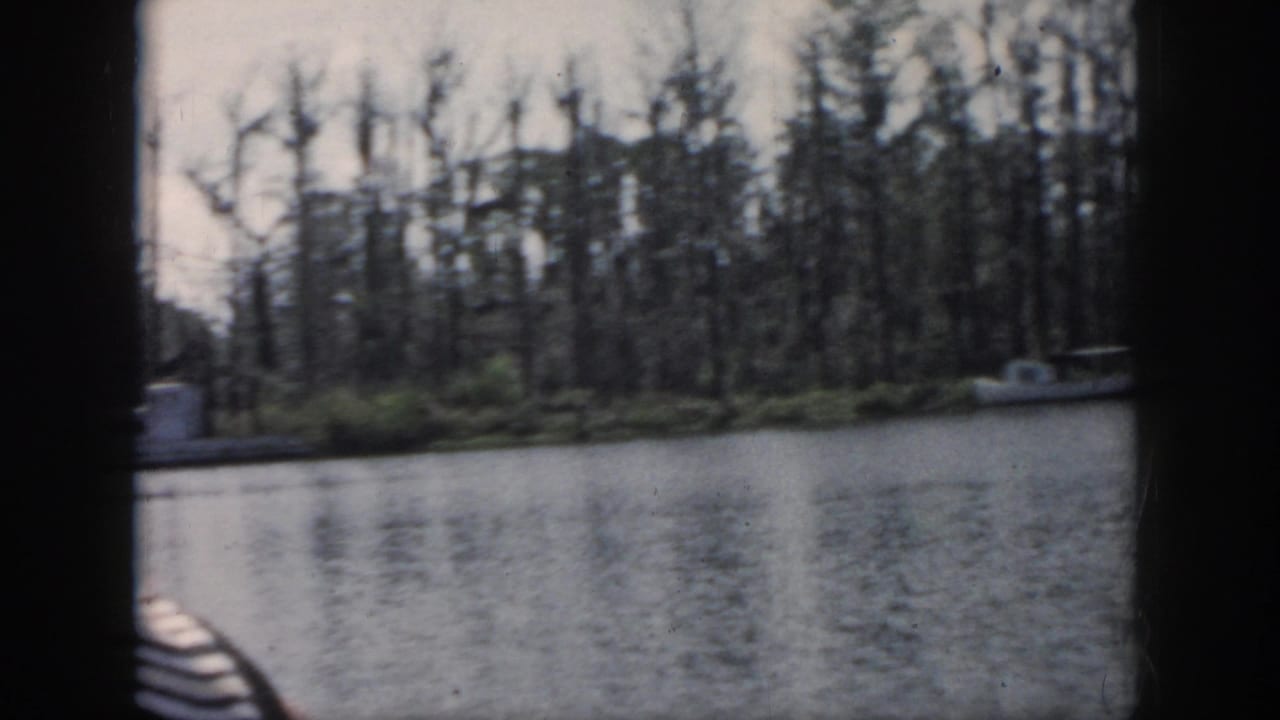River view with a moored boat near a cypress-lined bank.