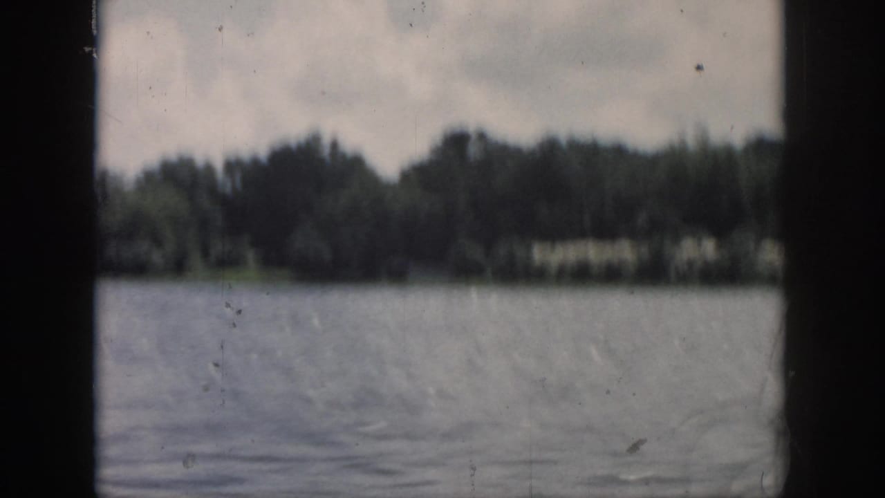 Open water and a blurred tree-lined shoreline seen through the film frame.