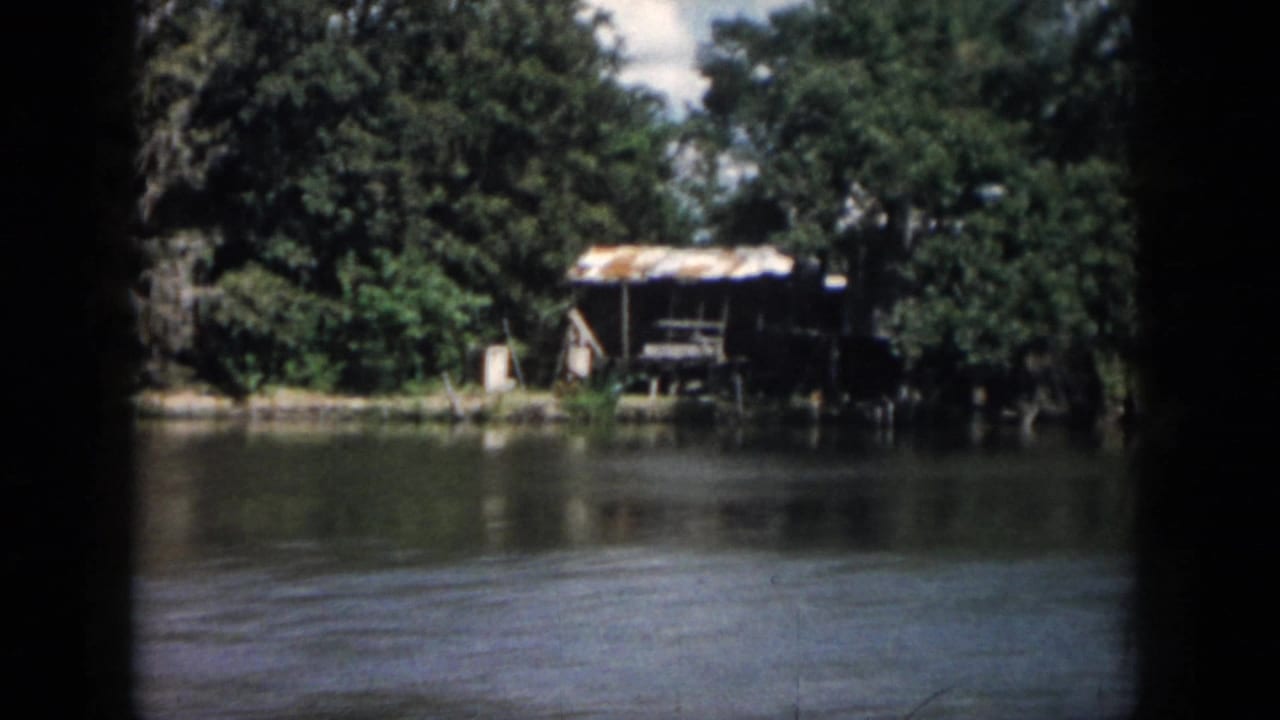 Rustic shack with a light rusted roof along a wooded waterbank.