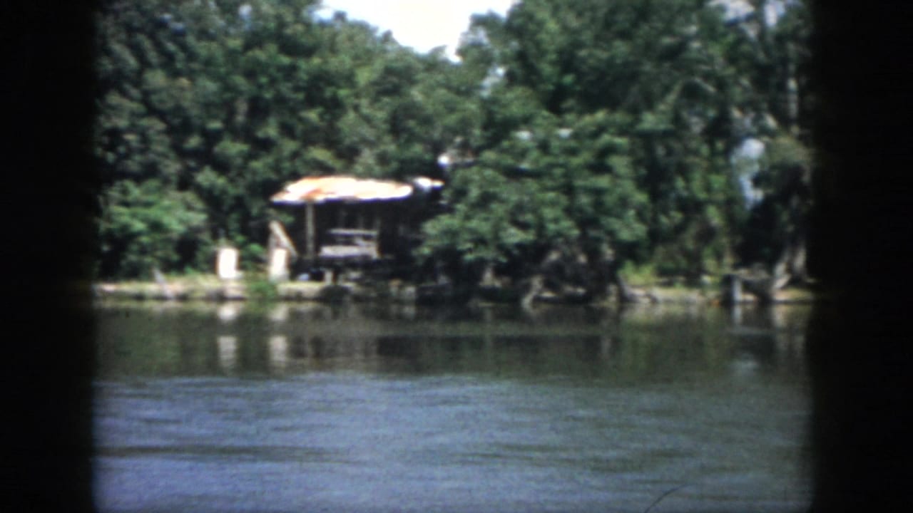 1958 New Orleans shoreline frame with a small weathered shack, heavy green trees, and reflections on calm water.