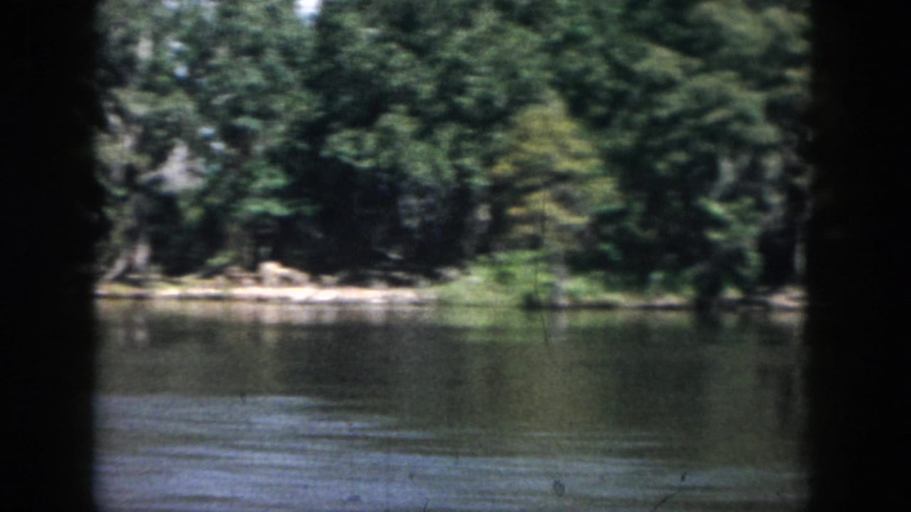 1958 New Orleans home-movie frame showing dense riverbank trees, shoreline vegetation, and gently rippled water.