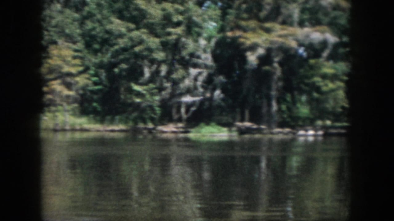 1958 New Orleans-area 8mm frame showing a calm lake, dense trees, rocky bank, and dark foreground framing.