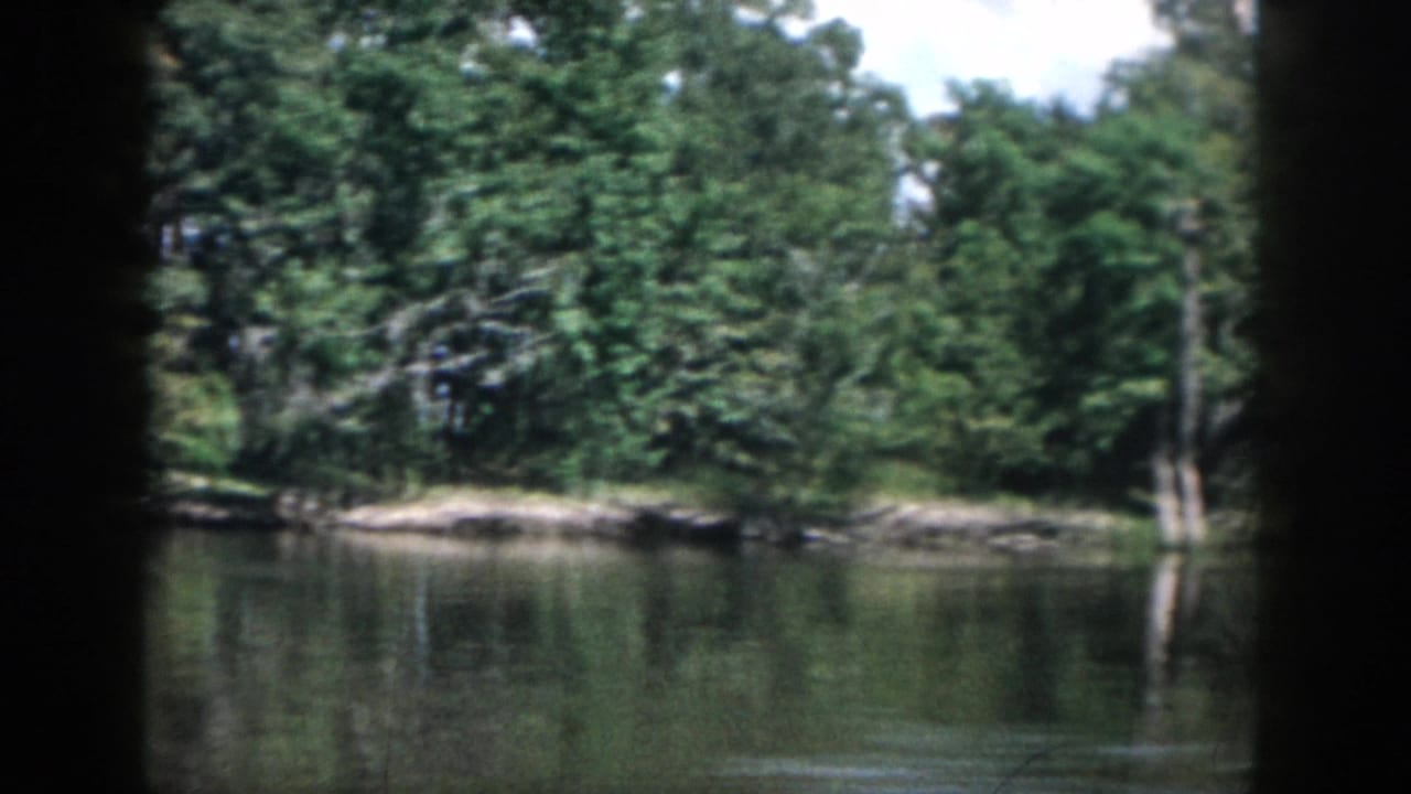 1958 New Orleans-area home-movie frame of trees along a quiet lake, with reflected foliage and dark edge shadows.