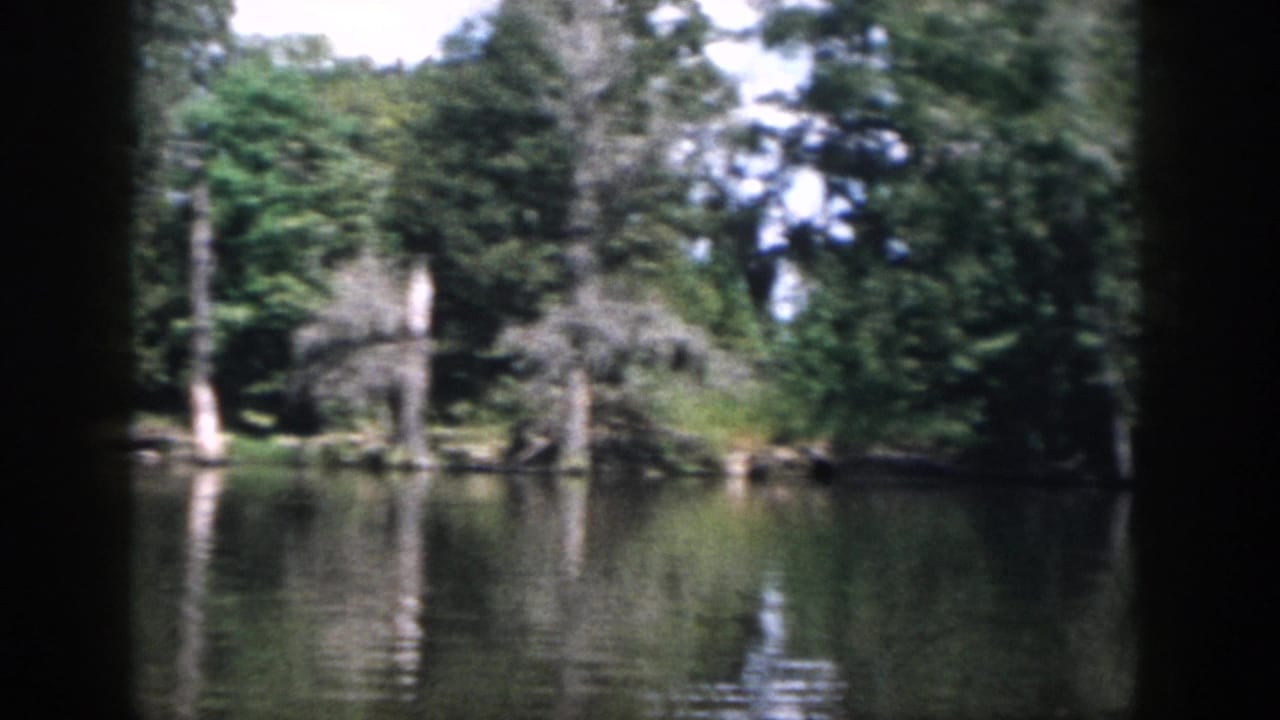 1958 New Orleans-area 8mm view of a shaded wooded lake edge with still water and soft reflections.