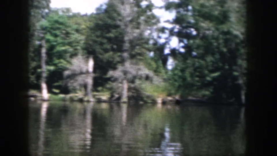 1958 New Orleans-area 8mm view of a shaded wooded lake edge with still water and soft reflections.