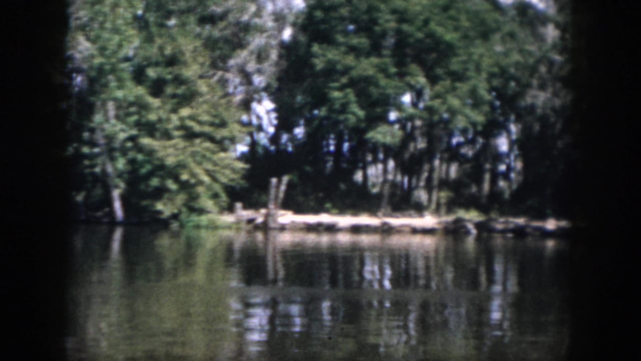 1958 New Orleans-area 8mm frame showing a bright lakeside bank, dense trees, and rippled reflections on the water.