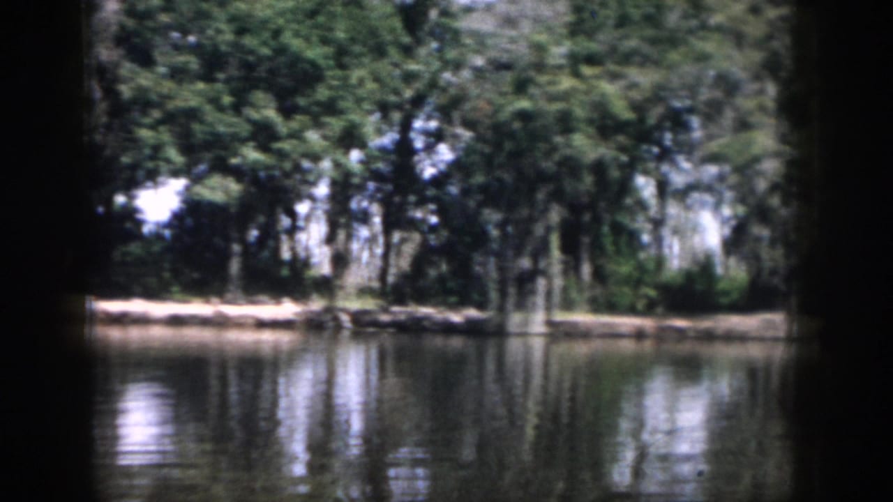 Calm water bordered by trees and Spanish moss, seen through dark film frame edges.