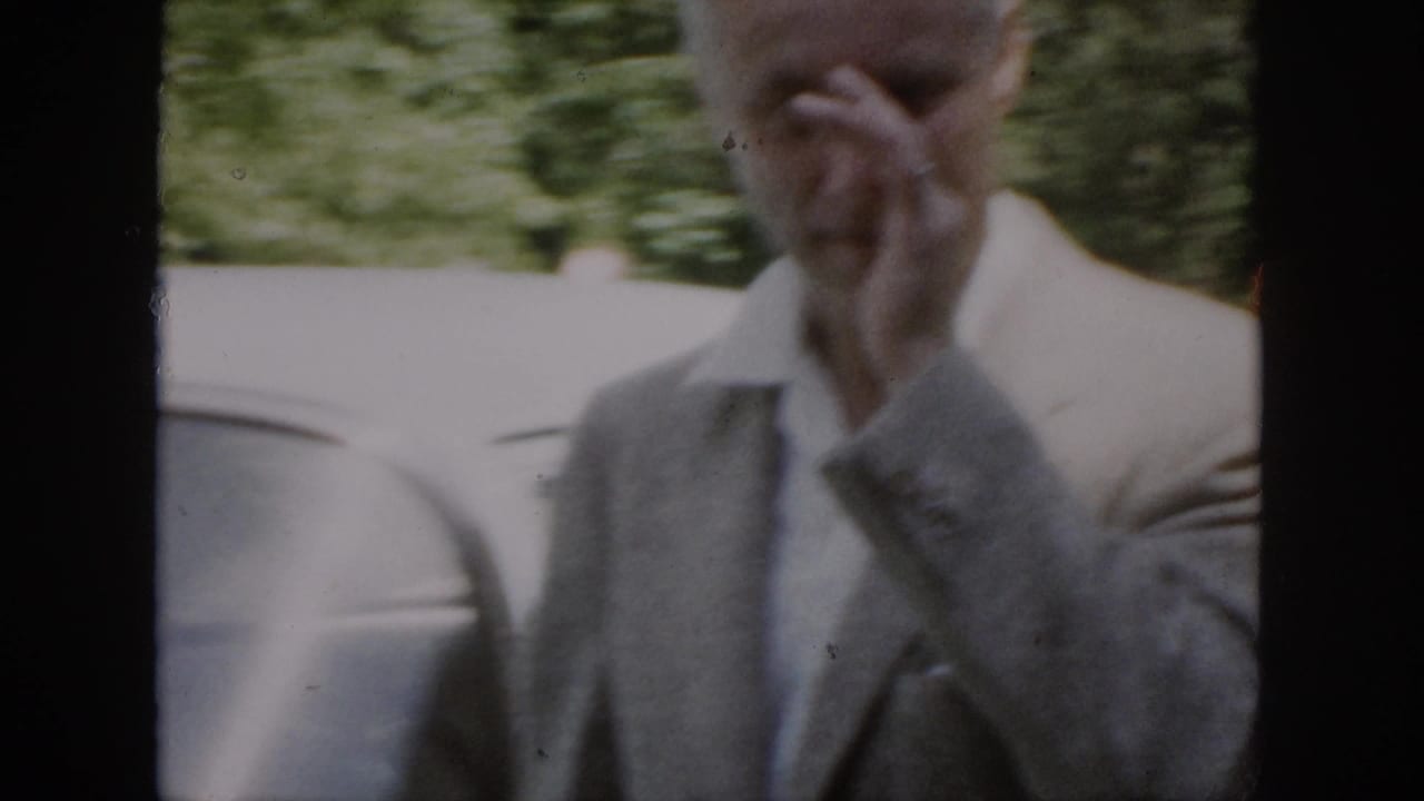 A soft, close 8mm frame shows the suited man lifting a hand near his face, with a car body and greenery behind him.
