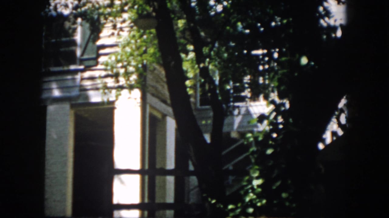 1958 Virginia 8mm frame showing a white building glimpsed through dense trees and high-contrast foliage.