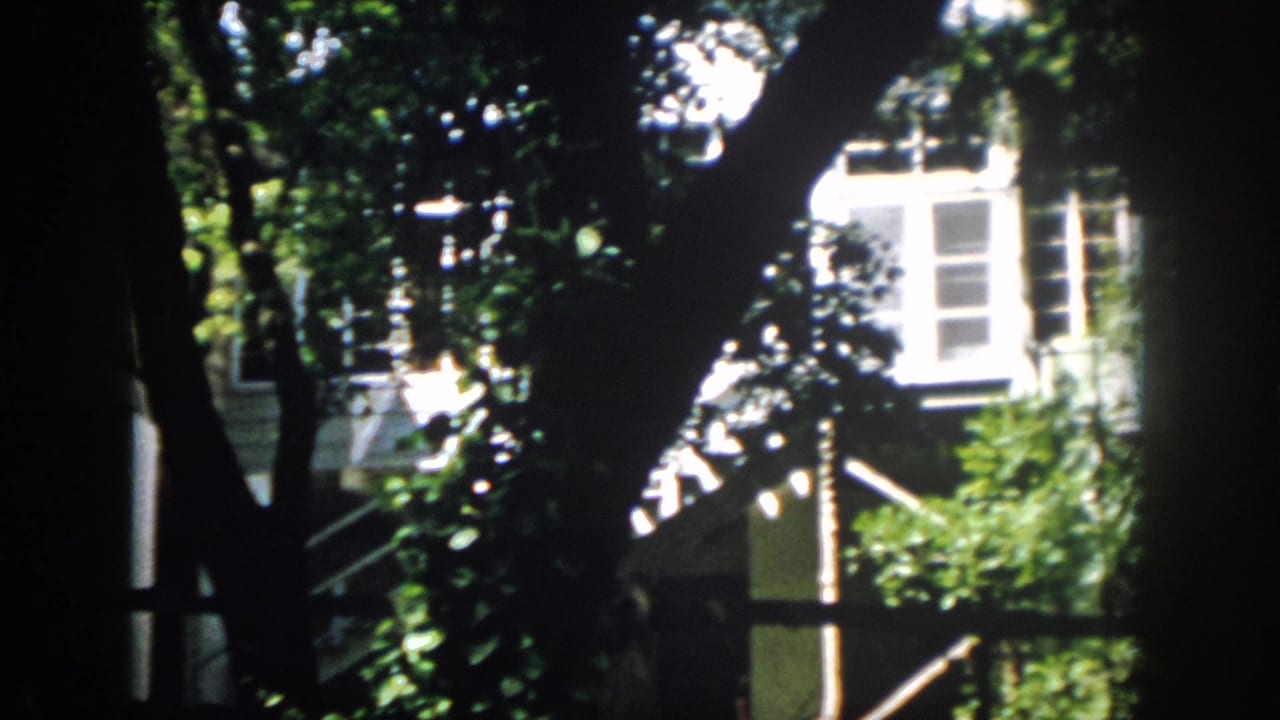A white residential exterior in Virginia appears behind dark tree silhouettes and bright green foliage.