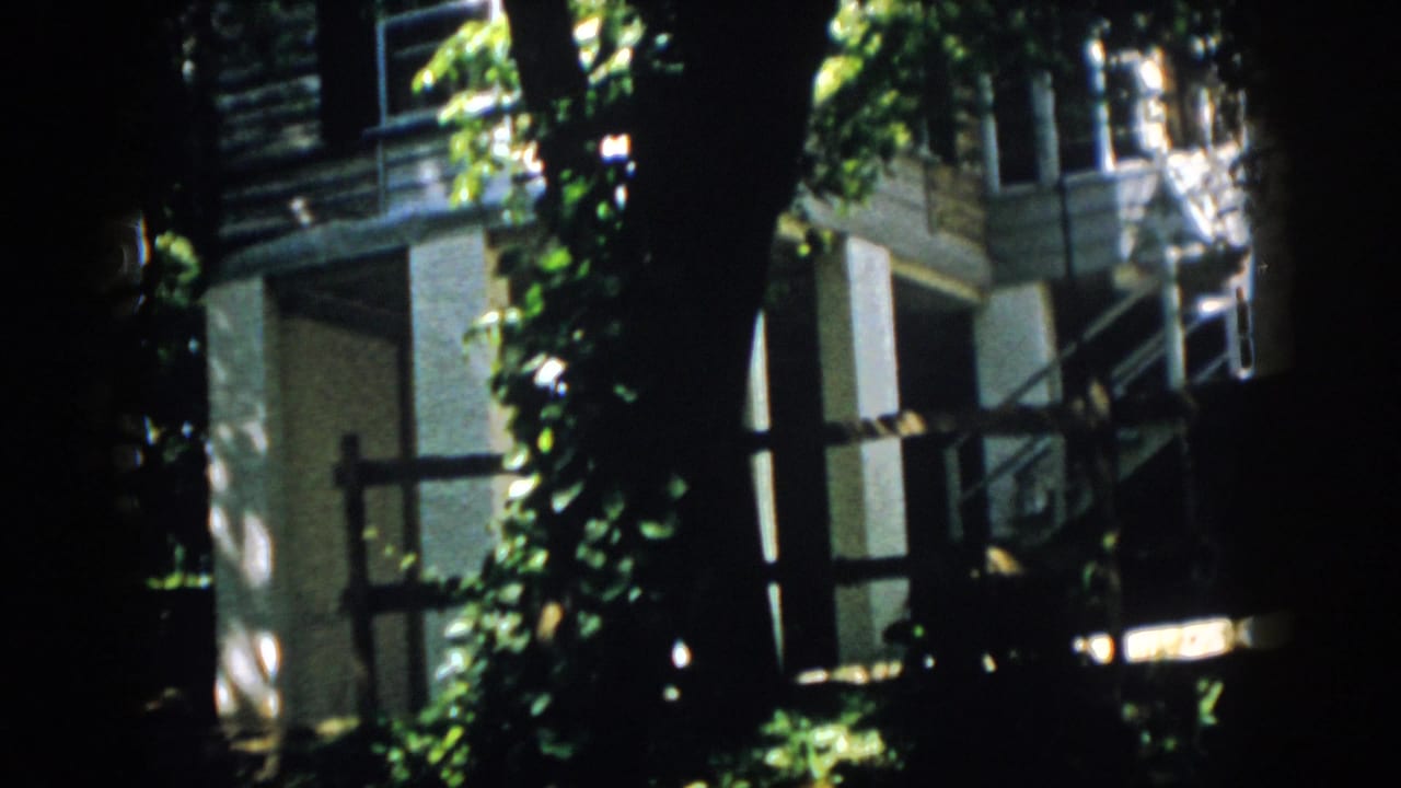 1958 Virginia 8mm frame of a residential exterior seen through leafy trees and high-contrast sunlight.