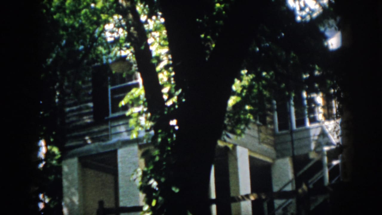 A leafy 1958 Virginia yard frames a house exterior with visible stairs, railings, and shaded foreground trees.