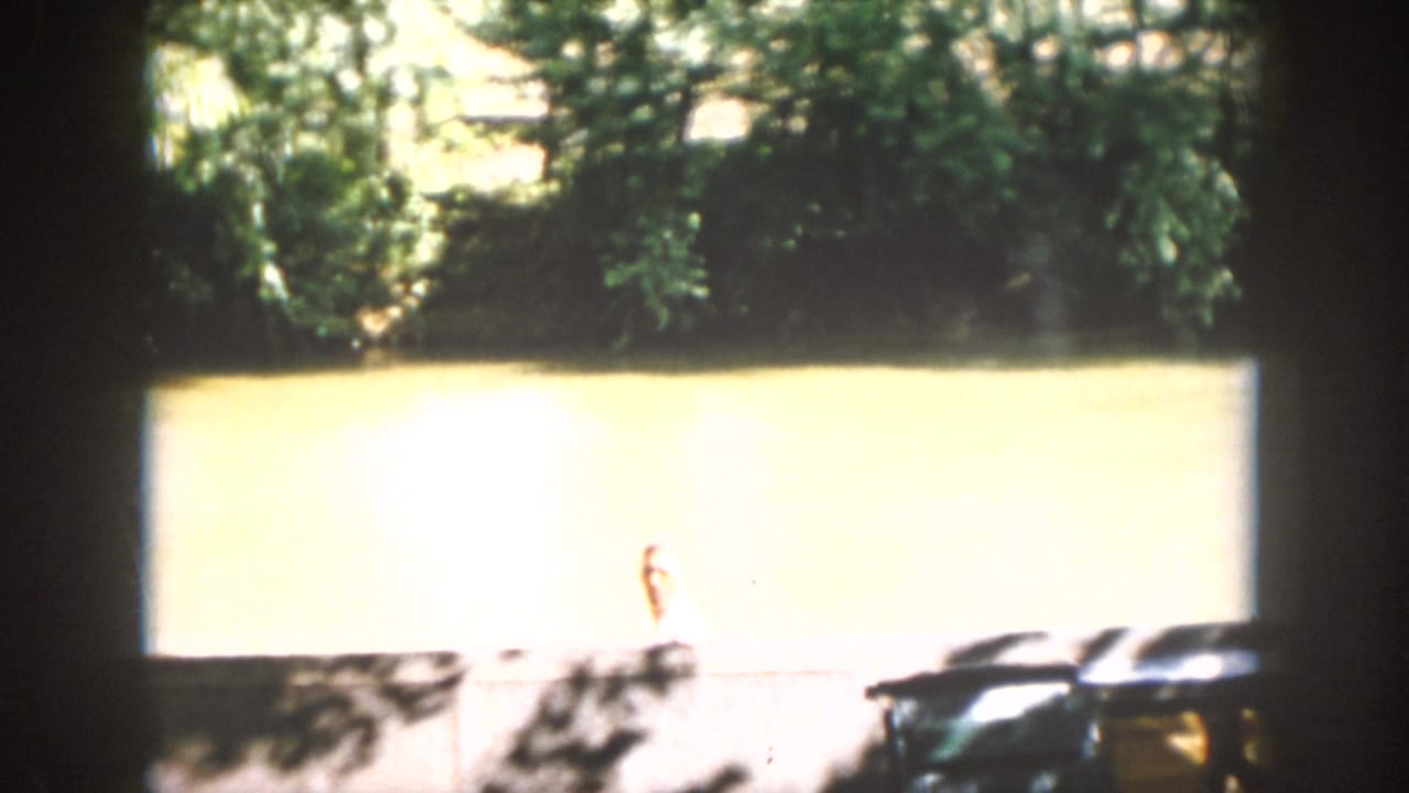 A bright exterior view in Virginia shows a distant person in a white shirt near a body of water, with trees and parked cars partly visible.