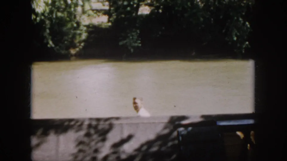 A distant waterside figure in a light top appears below trees, framed by dark interior edges in the 1958 Virginia footage.