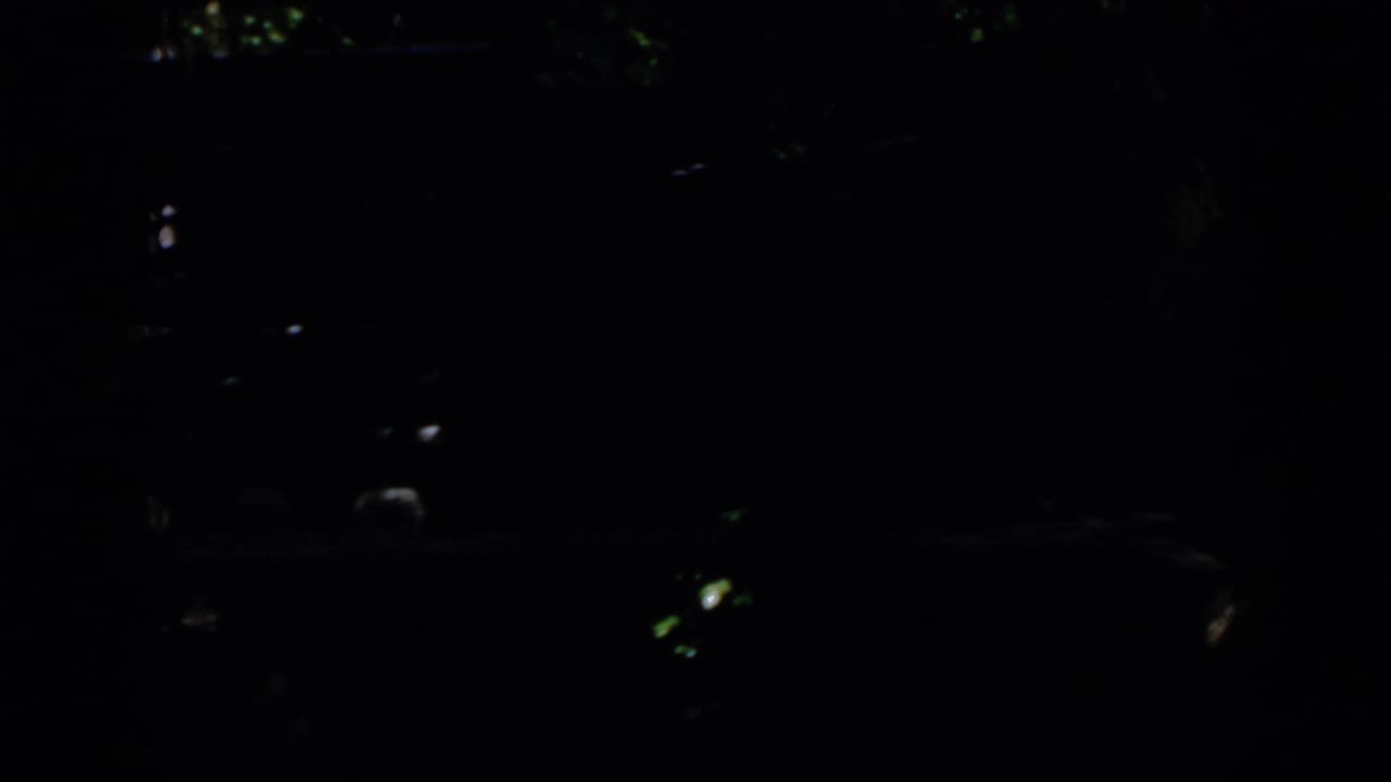 The final frame is almost entirely dark, with only faint scattered light glints and indistinct shapes visible.