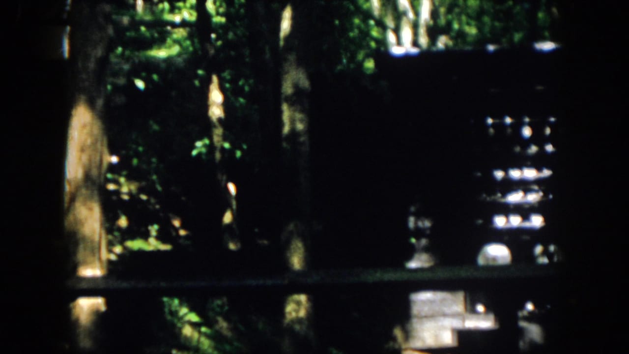 1958 Virginia 8mm frame showing dense greenery, dark posts, and a partially obscured exterior structure with bright highlights.