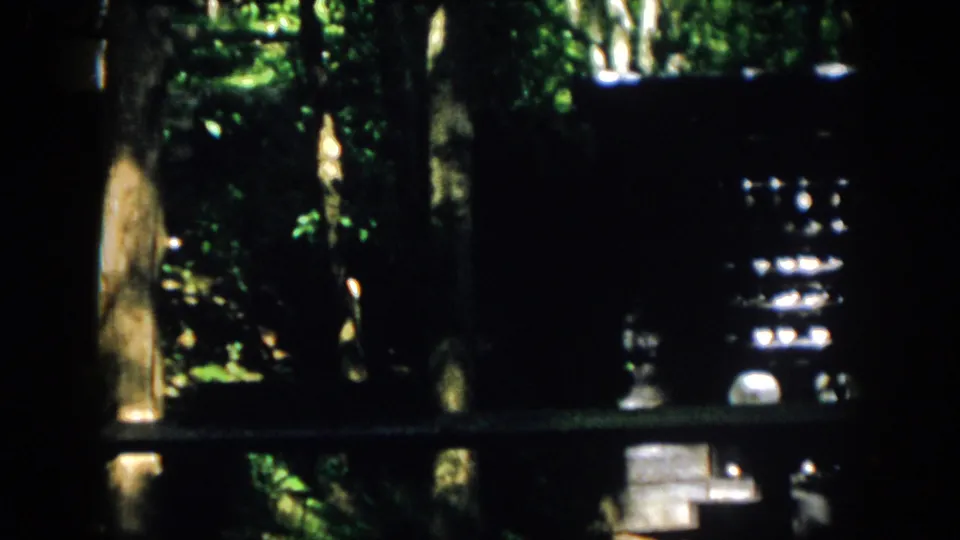 1958 Virginia 8mm frame showing dense greenery, dark posts, and a partially obscured exterior structure with bright highlights.
