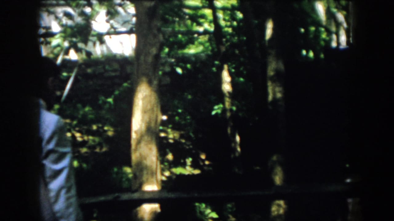 Dark posts and foliage partially obscure a man in a light suit near the center right.