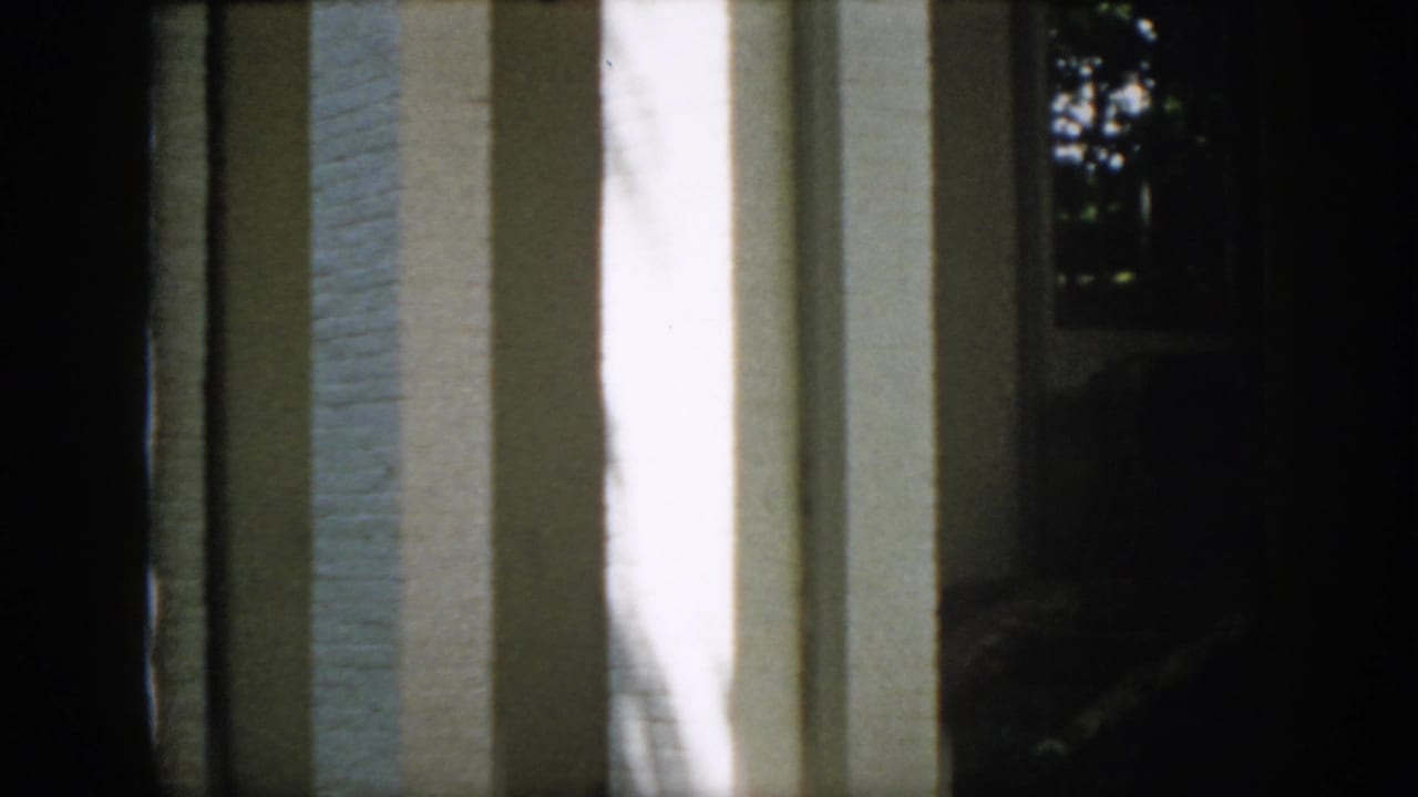 Virginia home-movie frame from 1958 with white brick columns, a shaded porch opening, and faint window detail near trees.