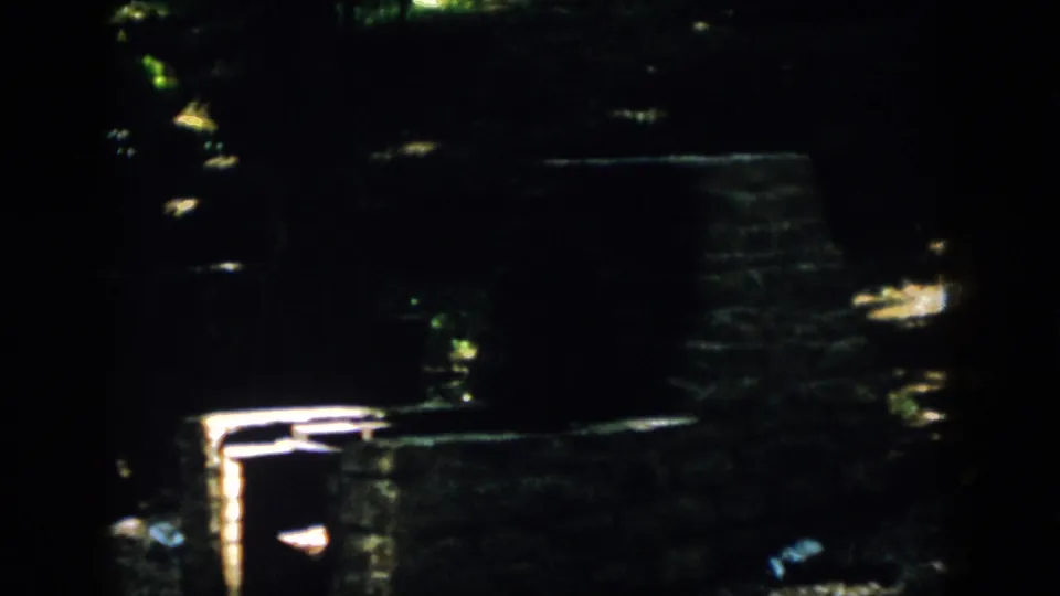 1958 Virginia home-movie frame of a shaded forest campsite with a brick or stone fireplace catching sunlight.