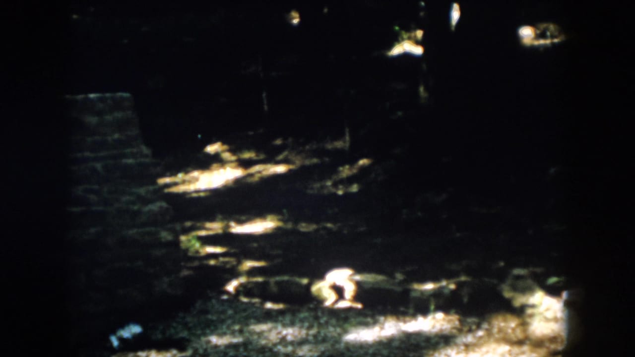 1958 Virginia frame of a quiet forest campsite, with a low brick or stone fireplace and sunlight falling across the ground.
