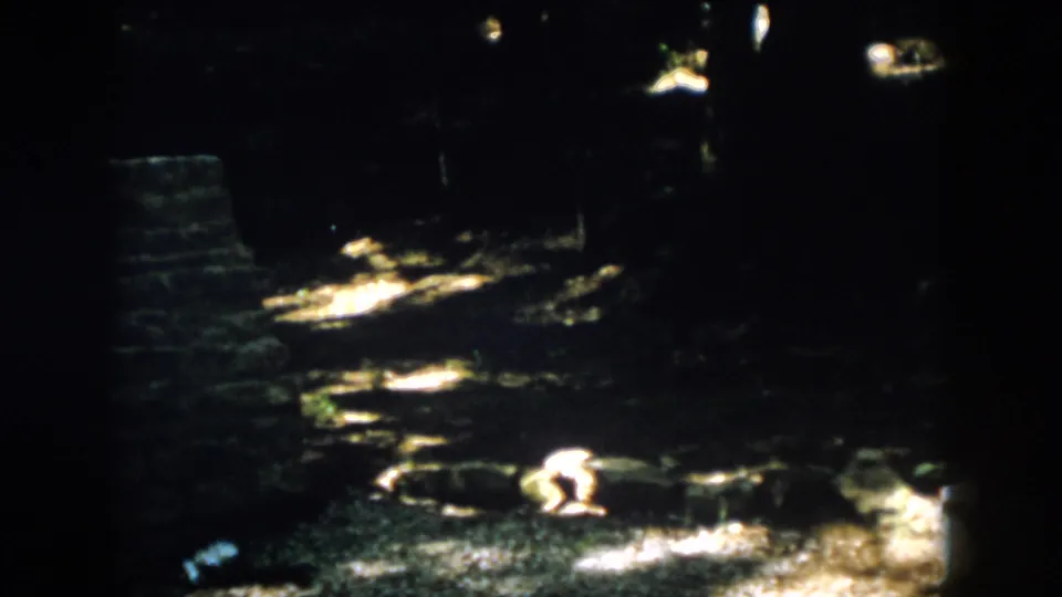 1958 Virginia frame of a quiet forest campsite, with a low brick or stone fireplace and sunlight falling across the ground.