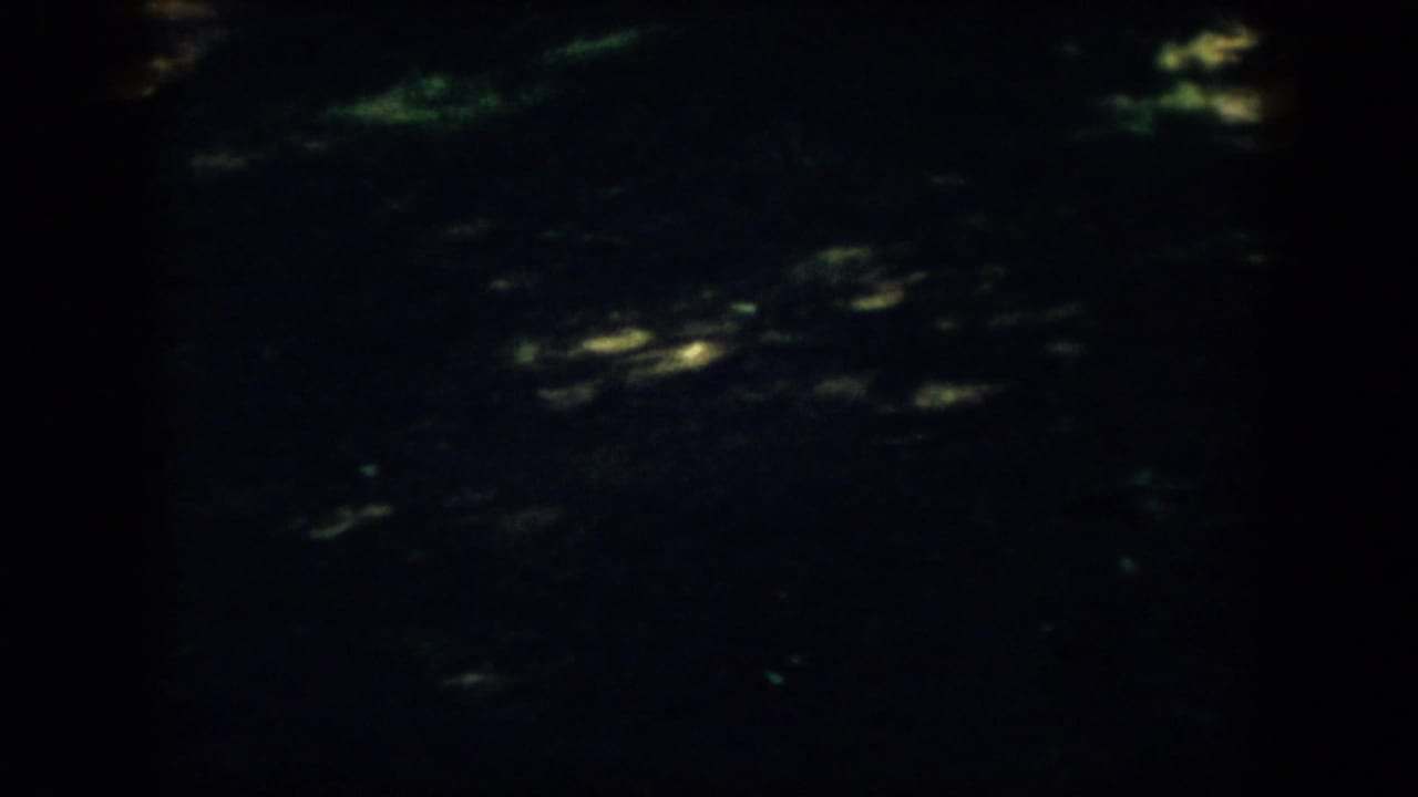 Dark wooded ground in Virginia home-movie footage, with mottled light barely visible through deep shade.