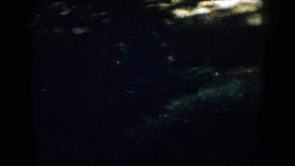 Underexposed 1958 Virginia woodland view, with faint light patches above and little detail visible in the shadows.