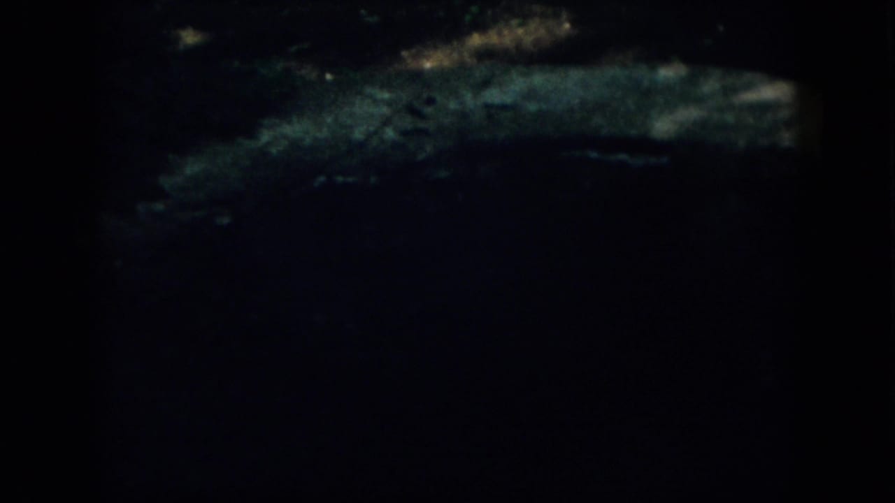A dim woodland floor appears in 1958 Virginia footage, with a pale ground or stone edge cutting through the darkness.