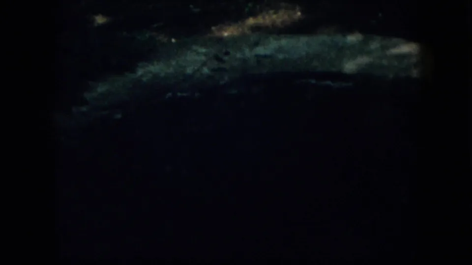 A dim woodland floor appears in 1958 Virginia footage, with a pale ground or stone edge cutting through the darkness.