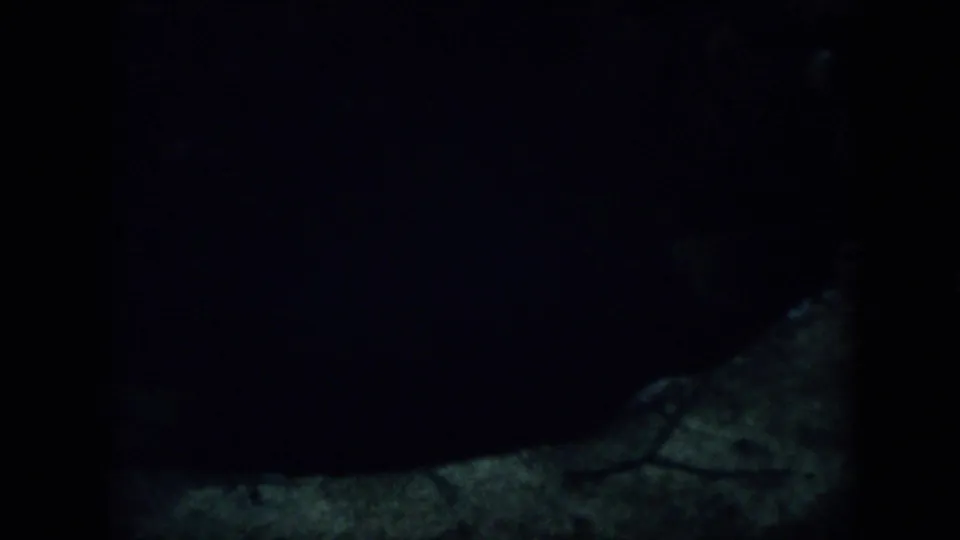 A narrow dark opening or well-like void is bordered by dim ground in the shadowed Virginia woodland scene.