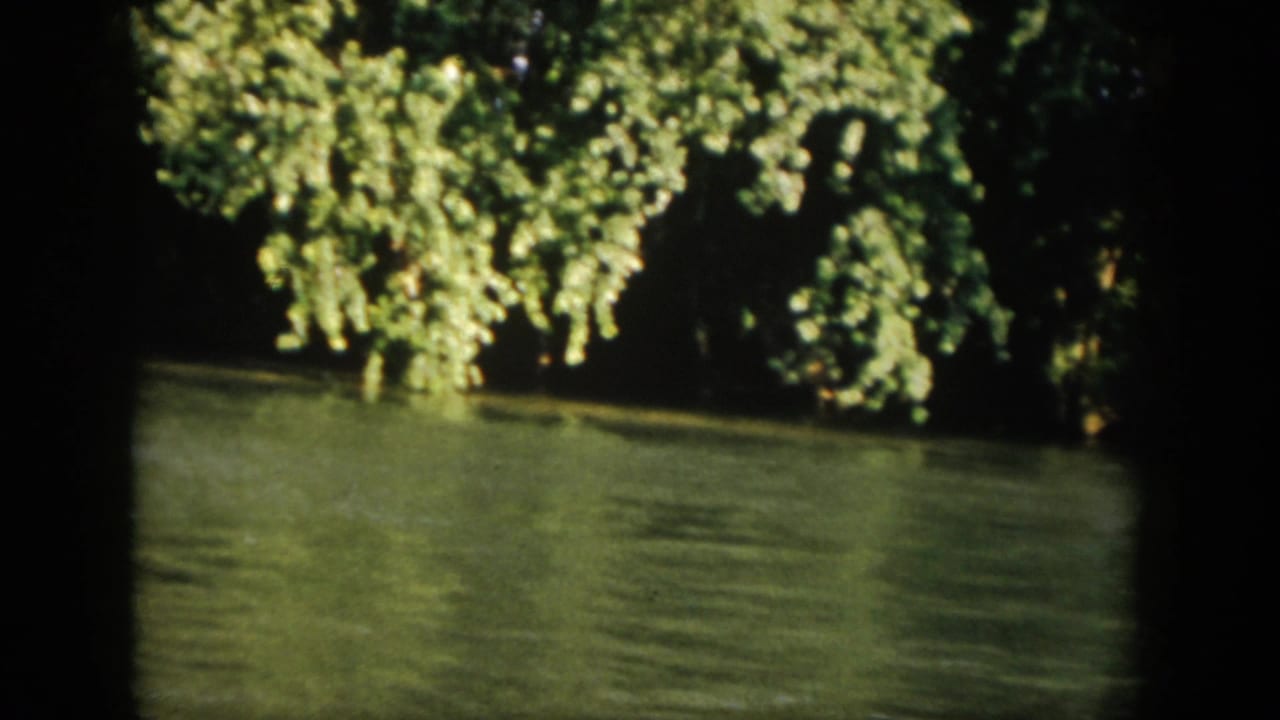 1958 Virginia 8mm view of overhanging trees and green river water from a shaded riverbank perspective.