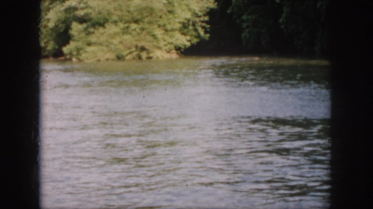 1958 Virginia river view with rippled water, dense trees on the far bank, and dark 8mm frame borders.