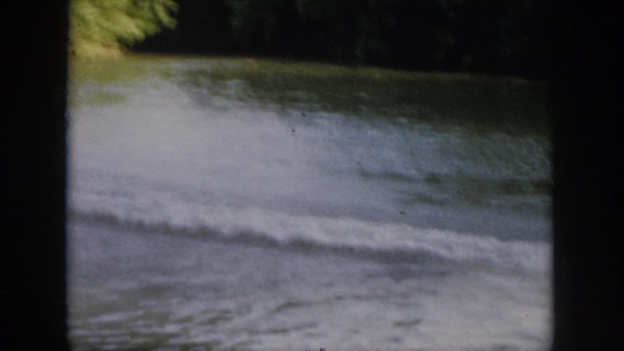 Boat wake crossing river water near a wooded bank.