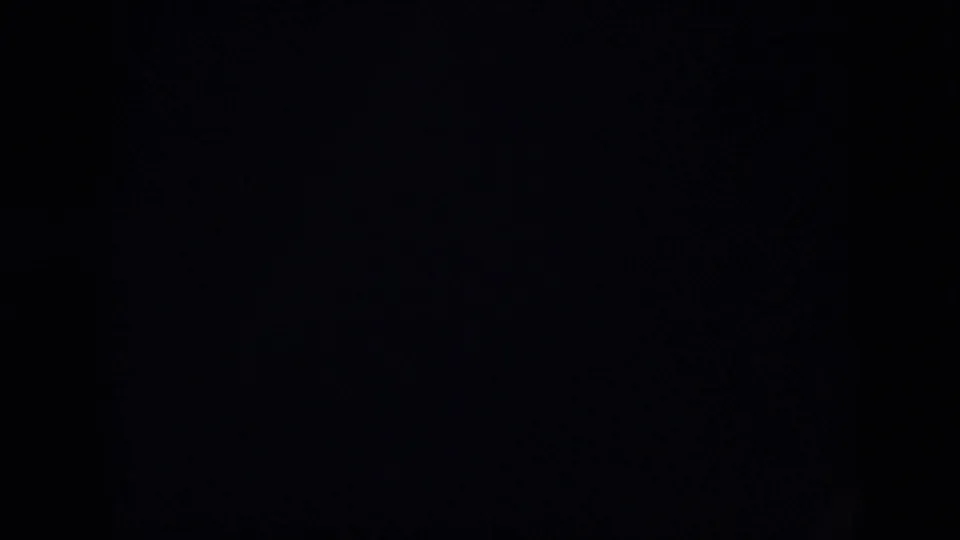 Dark 1958 Virginia home-movie frame with indistinct interior shapes and little visible detail.