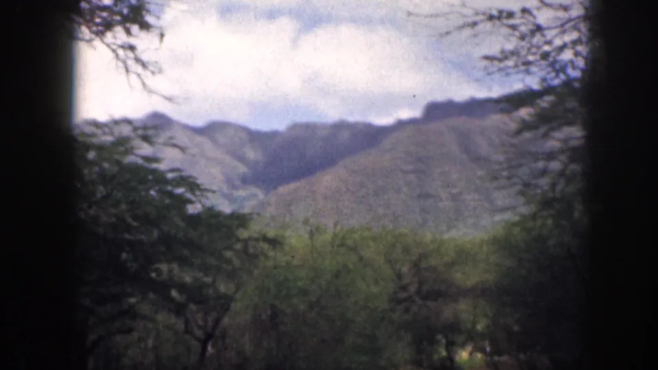 1959 Hawaii 8mm frame showing rugged green mountains beyond leafy trees under a cloudy sky.