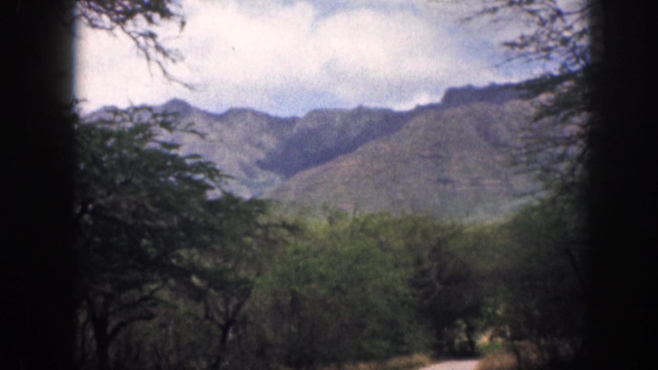 Distant mountains and trees seen through dark vertical film-edge shadows.