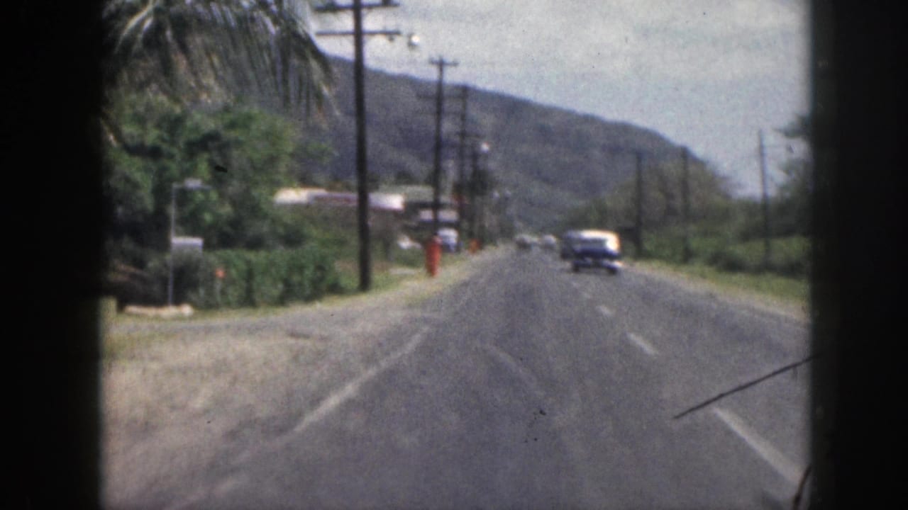 Coastal road bordered by utility poles, vegetation, hills, and a distant orange roadside figure.