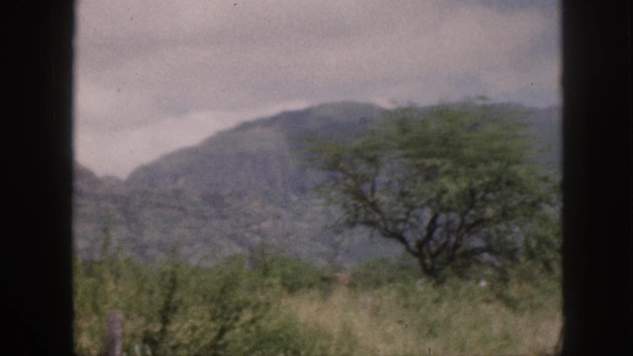 Mountain ridge and leafy tree viewed through a dark vertical window frame.