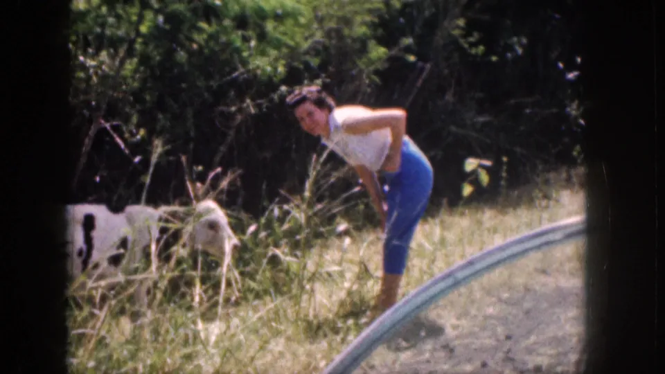 1959 Hawaii home-movie frame of a woman looking back toward the camera while standing near a cow by a grassy rural road.