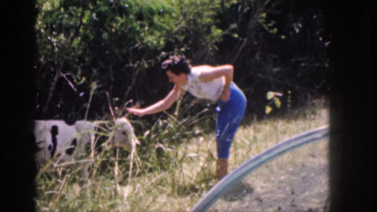 Woman bends toward a black-and-white calf in tall grass beside foliage.