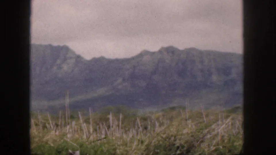 1959 Hawaii 8mm frame showing a green mountain ridge beyond grass and dry stalks, viewed through dark vertical borders.