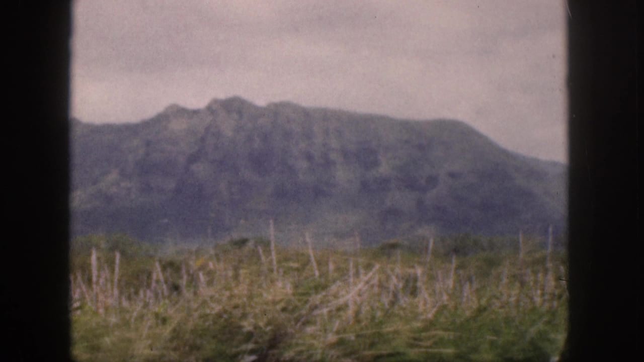 Distant mountain range above grass and dry stalks, divided by a dark central border.